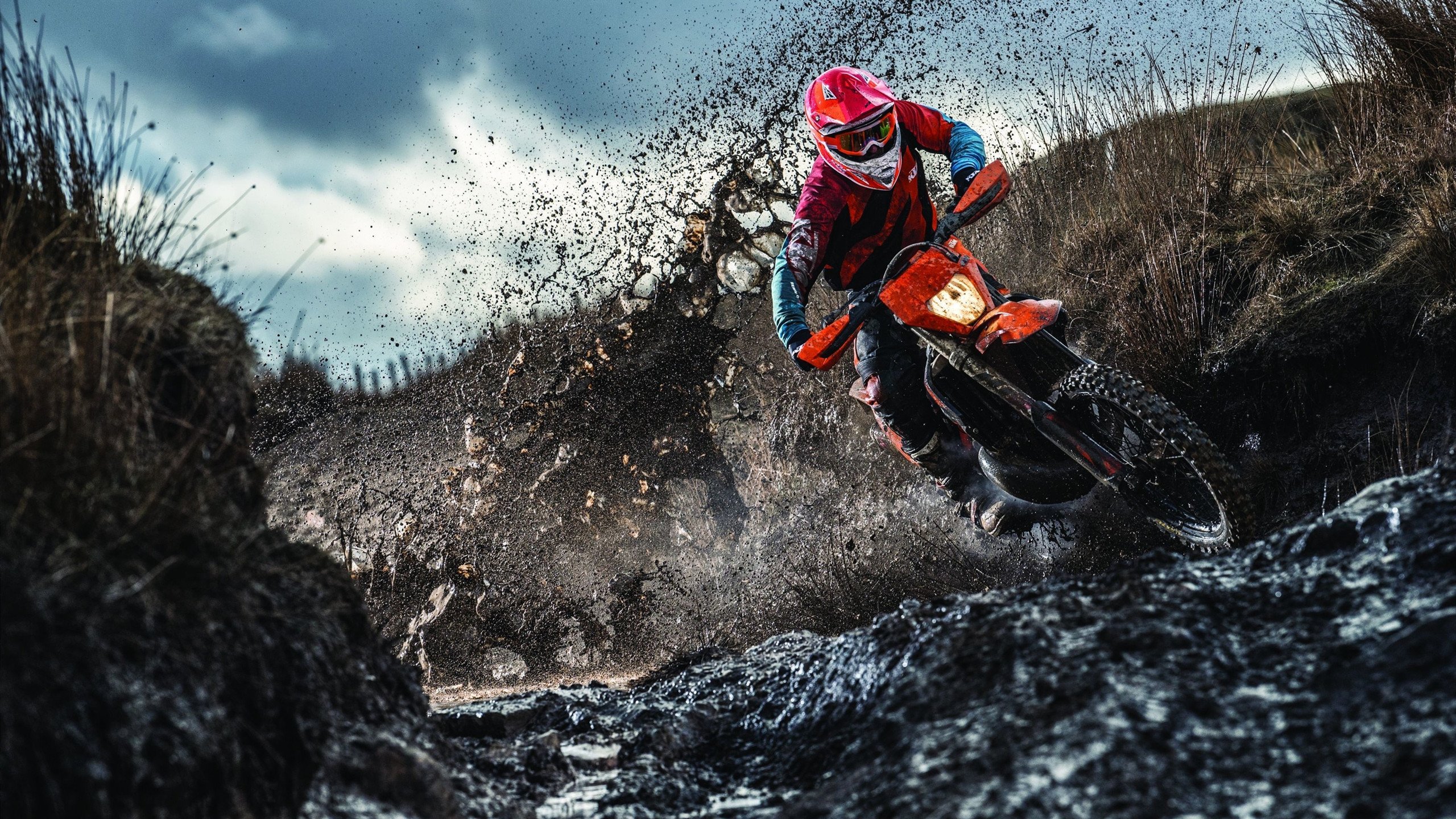 跨界战神，从CBA鏖战到F1赛道，中国体育的多元绽放